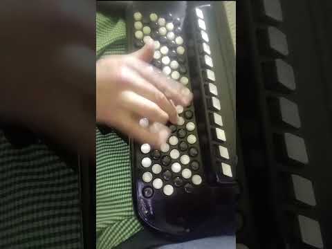 Aj cija frula - Ljupko Tomic #Shorts