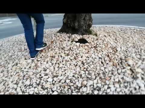 ON FAIT LES CONS SUR UN ROND POINT