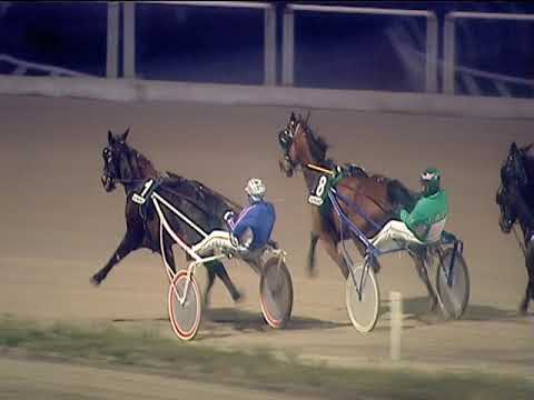 Trotto 03/03/2019 - 7ª corsa