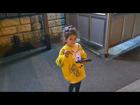 Single HST power car 43285 passes through Belper