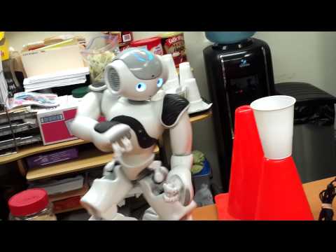 Aldebaran Robotics Nao Robot j2 kung-fu combo fight for the 2012 Robogames
