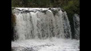 Musica Cristiana  Marcela Gandara   Tu Proposito