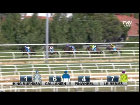 2013 C.F Orr Stakes  - All Too Hard