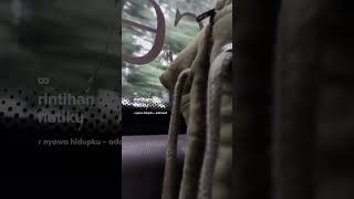 Download lagu Ada band - Nyawa Hidupku mp3 Download lagu Ada band - Nyawa Hidupku mp3