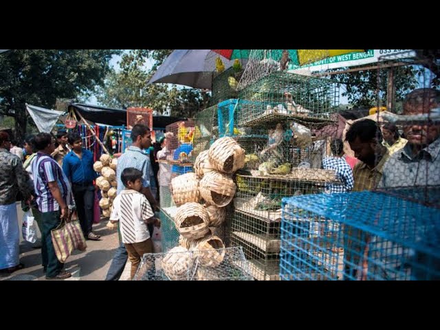 শীতের রোদ্দুরে আপনার গন্তব্য কেন হবে গ্যালিফ স্ট্রিট?