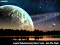 Angelo Badalamenti & Julee Cruise - Into The Night.mpg