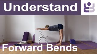 Beginners Iyengar Yoga Class - Understanding Forward Bends