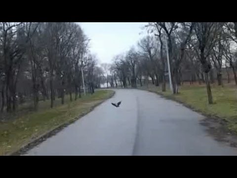 Napi jócselekedet - Today's good deed