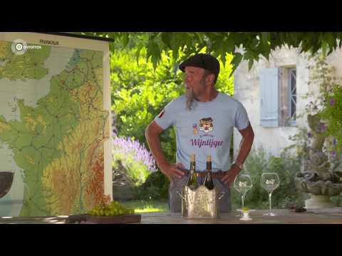 Wijn proeven: chablis | Gorts Wijnkwartier