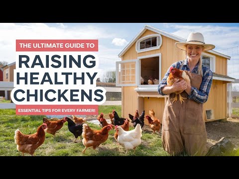 The Ultimate Guide to Raising Healthy Chickens – Essential Tips for Every Farmer!