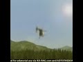 Donkey Fucking Dies