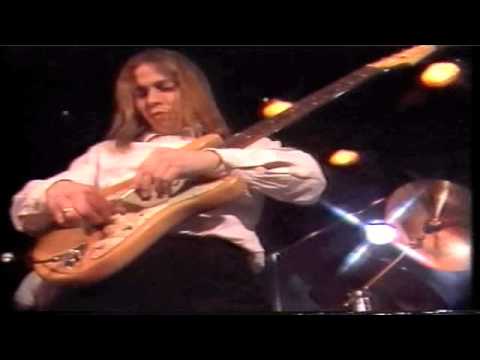 Pelican Sprengisandur