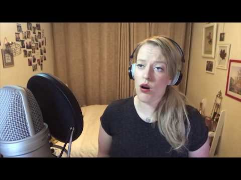 Fly, Fly Away (Cover Britt Lenting ) - Catch Me If You Can