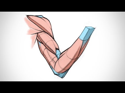 如何設計肌肉和肌腱--為藝術家繪製解剖圖 (How to Design Muscles and Tendons - Drawing Anatomy for Artists)