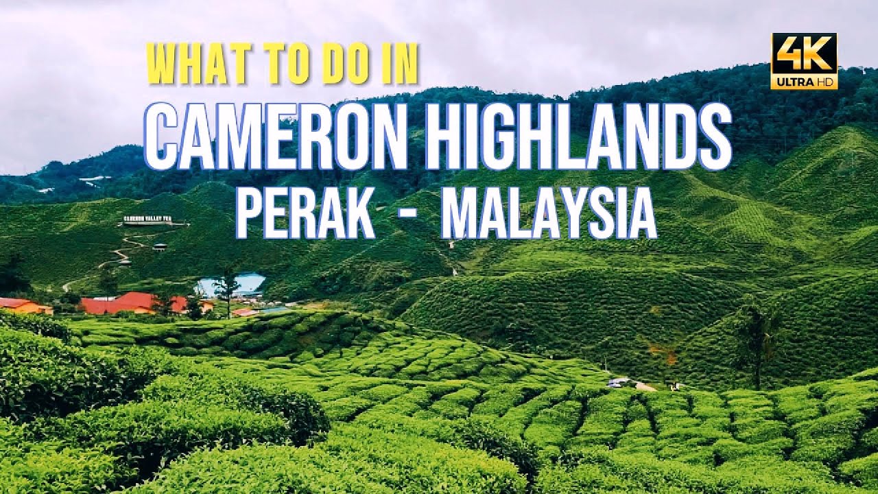 CAMERON HIGHLANDS PERAK MALAYSIA