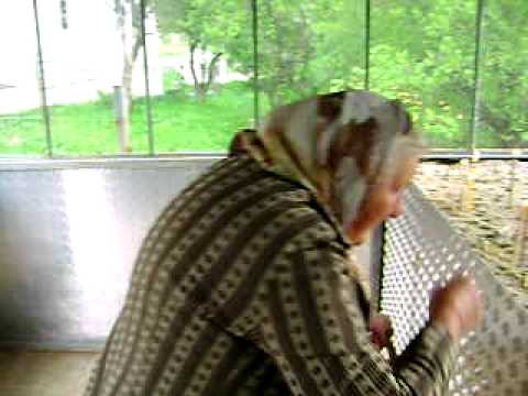 manastirea dalhauti 2