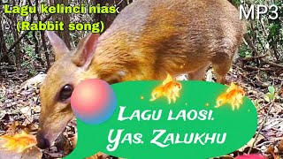 Download lagu LAOSI || Lagu nias || Yas. Zalukhu mp3