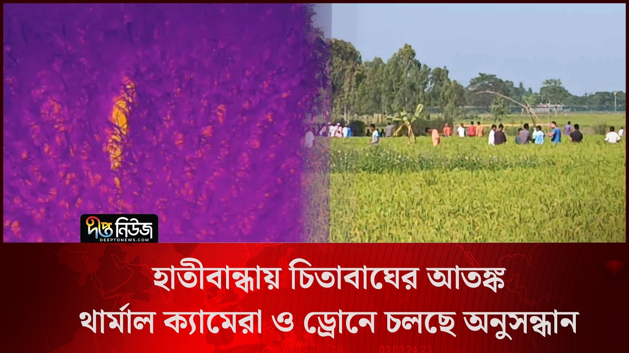 Big Cat Search l হাতীবান্ধায় চিতাবাঘের আতঙ্ক, থার্মাল ক্যামেরা ও ড্রোনে চলছে অনুসন্ধান l Deepto News