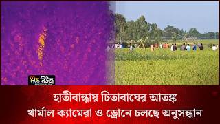 Big Cat Search l হাতীবান্ধায় চিতাবাঘের আতঙ্ক, থার্মাল ক্যামেরা ও ড্রোনে চলছে অনুসন্ধান l Deepto News