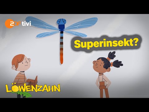 Die Geschichte der Libellen  - Löwenzahn  | ZDFtivi