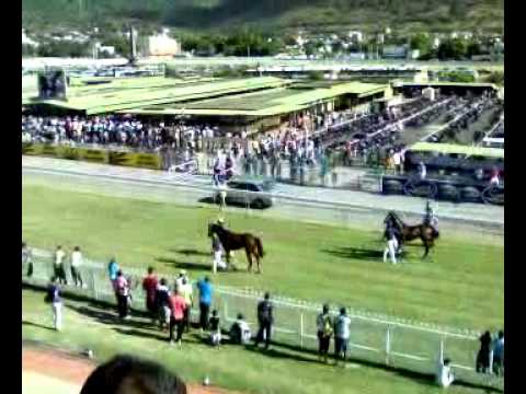 Modern Monet & Saubestre Returning - 2012 Mohammad Moorad Keerpah - Free Horse Racing Tips