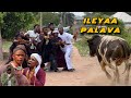 ILEYA PALAVA Latest Yoruba Comedy Movie 2026 Ozain Luckyvisual Oko Amoke