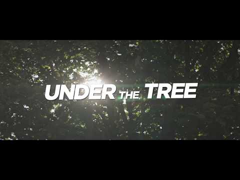 Under the Tree  	Bac Films