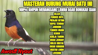 Download lagu MURAI BATU GACOR FULL TEMBAKAN MEWAH COCOK BUAT MASTERAN AGAR BONGKAR ISIAN mp3