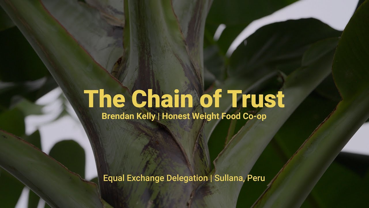 Brendan — Equal Exchange