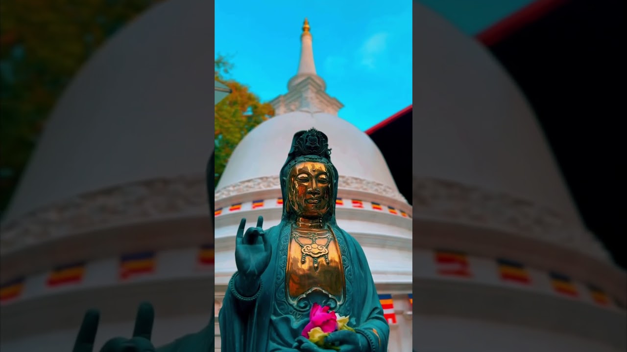 YouTube Short thumbnail