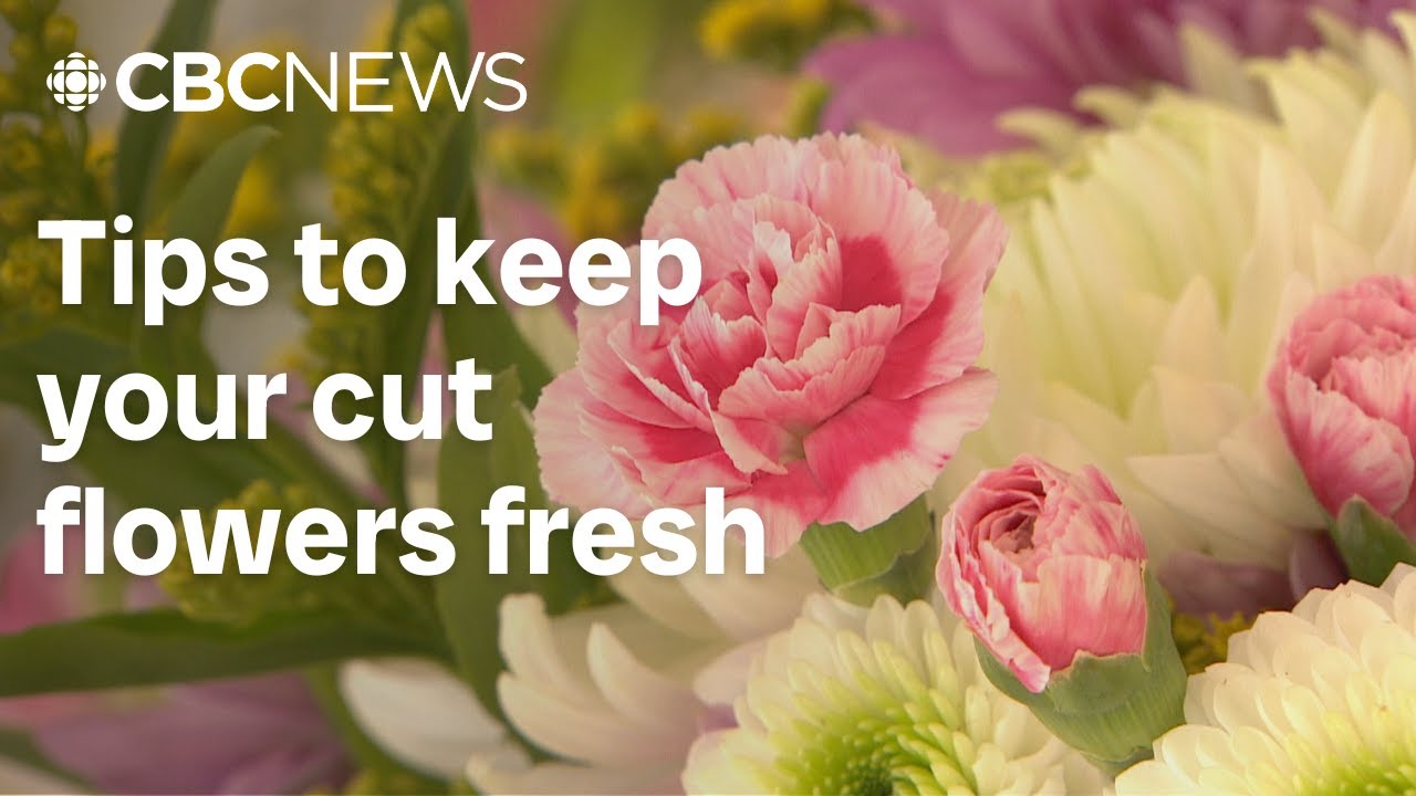 Essential steps to keep your bouquets fresh