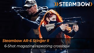 Steambow AR-6 Stinger II Kompakt 35lbs