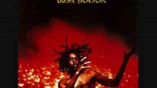 Video thumbnail of "Peter Tosh - Pick Myself Up"