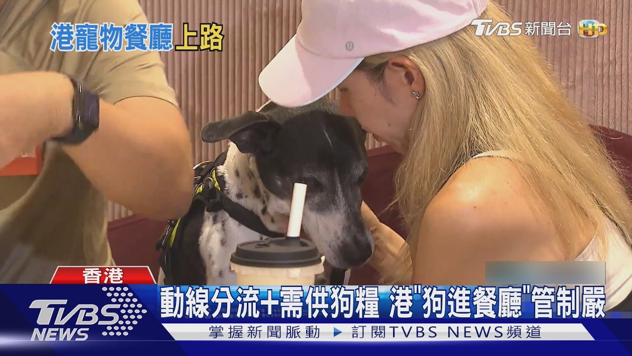 影音/毛孩商機! 香港寵物餐廳7月上路 供專屬餐具、禁桌邊加熱