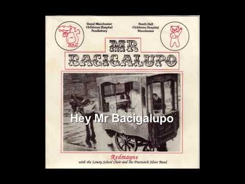 Hey Mr Bacigalupo