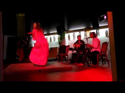 Mario Garcia Blanco ,Flamenco Optredens,workshops,
