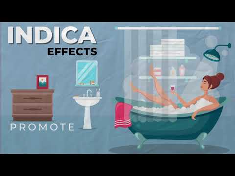 Understanding Cannabis: Indica vs  Sativa Effects