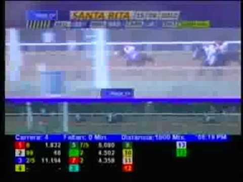 4TA CARRERA MIERCOLES 15 AGOSTO SANTA RITA AUDIOHIPISMO