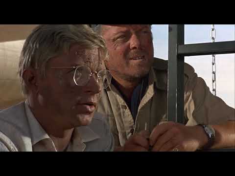 THE FLIGHT OF THE PHOENIX  Your Stupidty