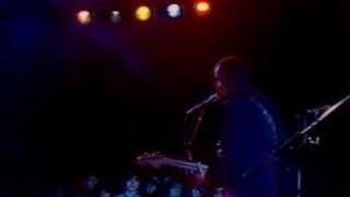 Paul Collins Beat "Rock N Roll Girl" Free Music Video