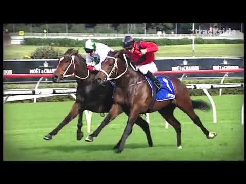 ASHLEE MARIE - JJ ATKINS PLATE