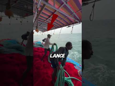 Des poissons à l'appel : la pêche ultra-efficace en action #fun #fishing #fishboat #fish