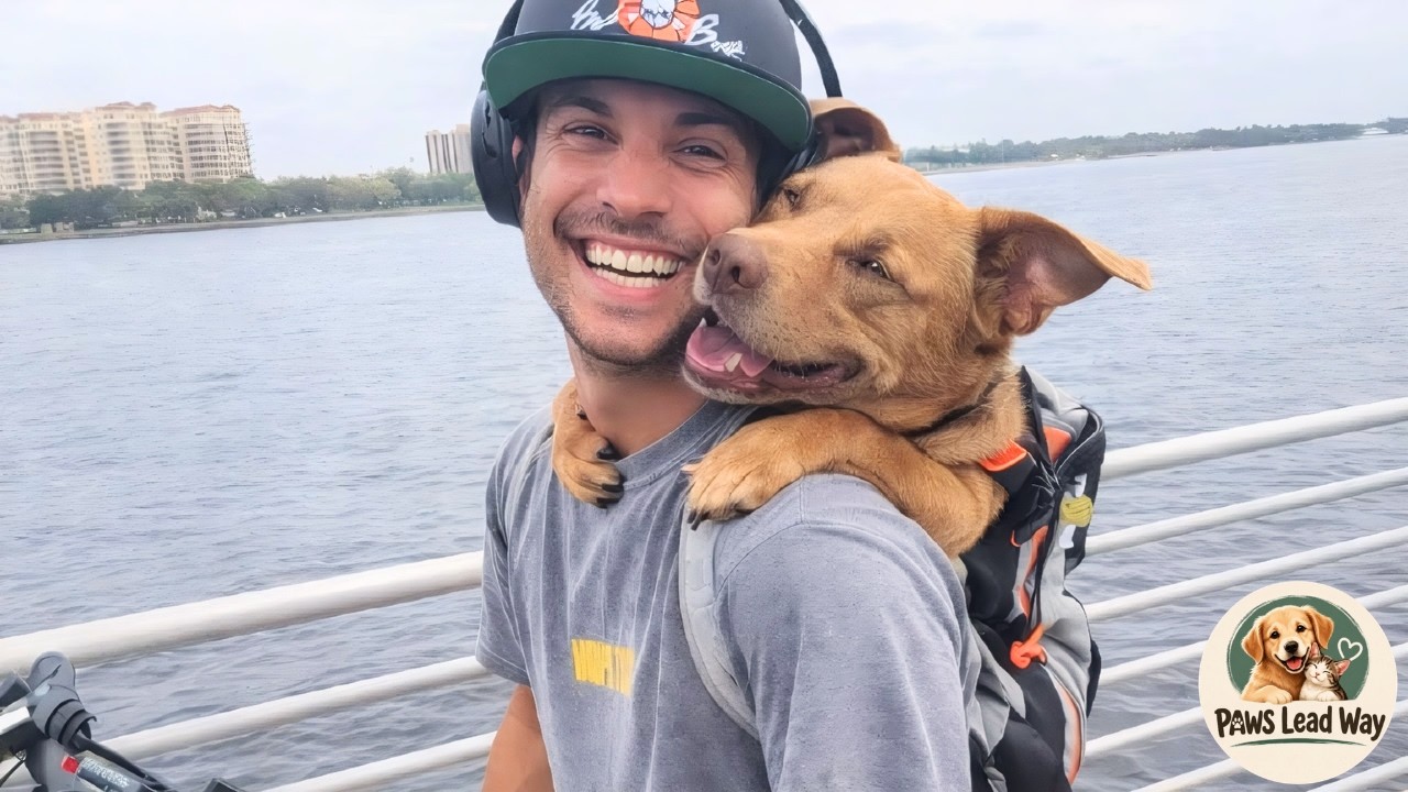 Caged His Whole Life, Now He Rides in a Backpack