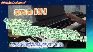 【大人から始めたピアノ初心者の練習動画】昴②