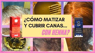 👩🏼‍🦳👩🏻‍🦰👩🏽¿CÓMO CUBRIR CANAS CON HENNA 🧡¿Debes hacer 1 FASE o 2 Igualar el color PASO a PASO❗️