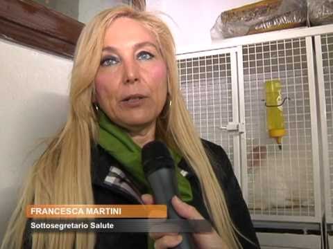 Monza e Brianza TV al Centro di recupero per animali da laboratorio, Monza