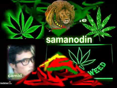 samanodin NoPetsAllowed Sabay Lang