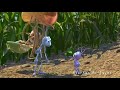 A Bug S Life You Re Still A Seed