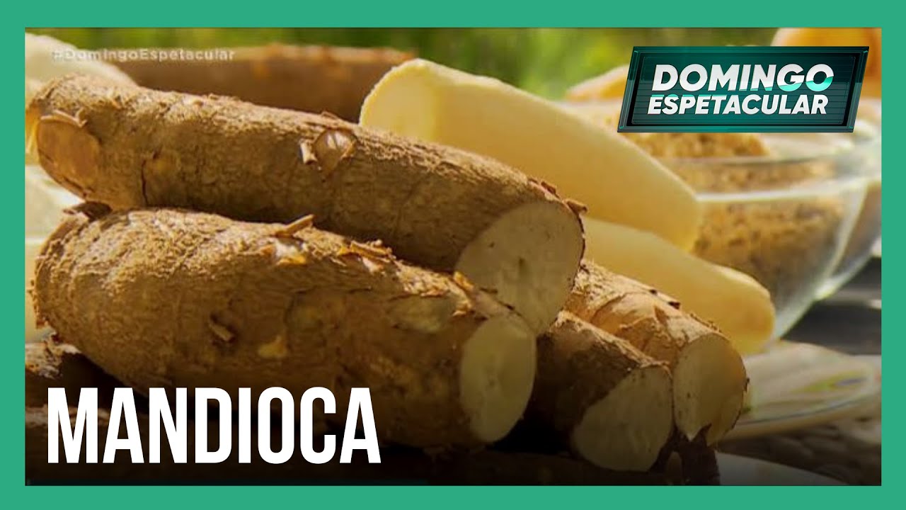 Conheça todos os Mitos e Verdades sobre a mandioca