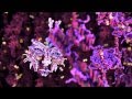 björk : hollow - DNA, rhythm (tour visual) [surrounded]